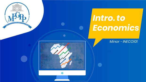 Introduction to Economics INECO101
